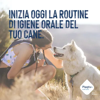 Inizia oggi la routine di igiene orale del tuo cane. Plaqtiv+ oral care con Xpersiv. Inizia oggi la routine di igiene orale del tuo cane. Plaqtiv+ oral care con Xpersiv.