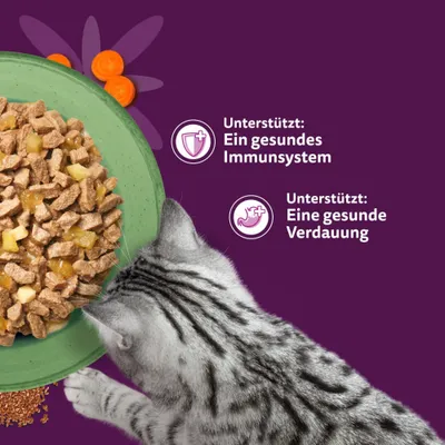 Whiskas 1+ Superfoods Gemischte Auswahl in Gelee 6 x 50 g - Hühnerleber & Thunfisch Whiskas 1+ Superfoods Gemischte Auswahl in Gelee 6 x 50 g - Hühnerleber & Thunfisch