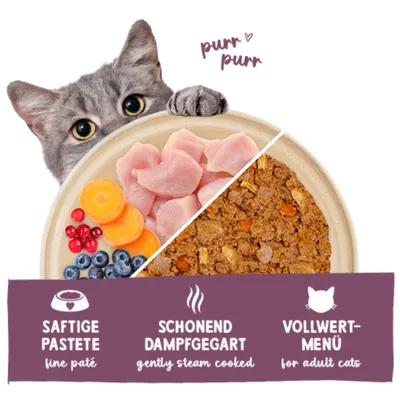 Sanabelle Freshe Mieze 10 x 100 g - Huhn Sanabelle Freshe Mieze 10 x 100 g - Huhn