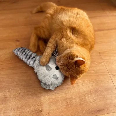 Aumüller kattenspeelkussen Wasbeer Wol - 1 stuk Aumüller kattenspeelkussen Wasbeer Wol - 1 stuk