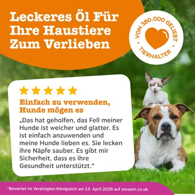 Ulei delicios pentru animalele dvs. de companie, de care se vor îndrăgosti. Iubit de 380.000 de proprietari de animale. Evaluare: Ușor de folosit, câinilor le place. Susține sănătatea, conform recenziilor clienților.