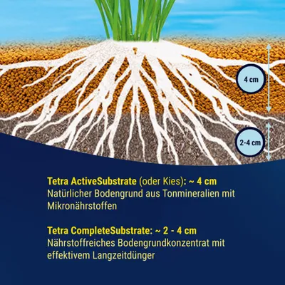 Tetra ActiveSubstrate: ca. 4 cm, natürlicher Bodengrund aus Tonmineralien mit Mikronährstoffen. Tetra CompleteSubstrate: 2-4 cm, nährstoffreiches Bodengrundkonzentrat mit Langzeitdünger.