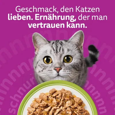Whiskas 1+ Adult Frischebeutel 40 x 85 g - Mixed Menu in Gelee (4 Sorten) Whiskas 1+ Adult Frischebeutel 40 x 85 g - Mixed Menu in Gelee (4 Sorten)