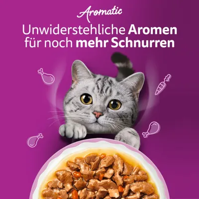 Aromatic. Unwiderstehliche Aromen für noch mehr Schnurren. Bild einer Katze und Schale mit Nassfutter, umgeben von Icons für Fleisch und Gemüse. Aromatic. Unwiderstehliche Aromen für noch mehr Schnurren. Bild einer Katze und Schale mit Nassfutter, umgeben von Icons für Fleisch und Gemüse.