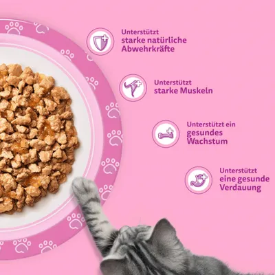 Unterstützt starke natürliche Abwehrkräfte, starke Muskeln, gesundes Wachstum und eine gesunde Verdauung. Futterschale mit Katzenfutter und Katze sichtbar. Unterstützt starke natürliche Abwehrkräfte, starke Muskeln, gesundes Wachstum und eine gesunde Verdauung. Futterschale mit Katzenfutter und Katze sichtbar.