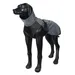 Mantella per cani Icepeak Pet Glow Reflect