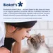 Biokat's Diamond Care Fresh Cat Litter