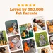 Zesty Paws Calming Chews - Turkey - dog supplements