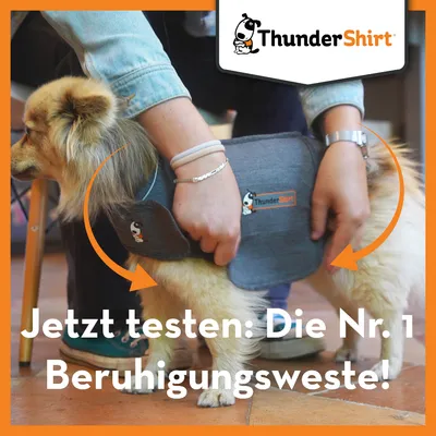 ThunderShirt Beruhigungsweste für Hunde. Jetzt testen: Die Nr. 1 Beruhigungsweste!
