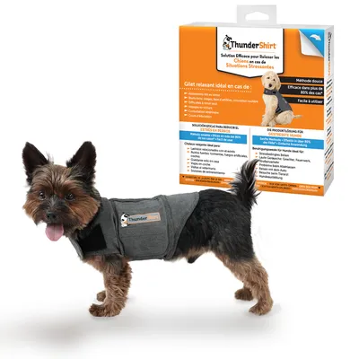 ThunderShirt anti-stress vest for dogs. Calms during stress from thunderstorms, fireworks, travel and more. Gentle method, effective in over 80% of cases. Easy to use.