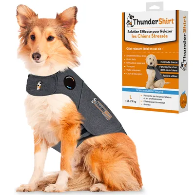 Chien portant un gilet ThunderShirt gris, à côté de l’emballage : Solution efficace pour relaxer les chiens stressés, taille L >18–29 kg, méthode douce, facile à utiliser.