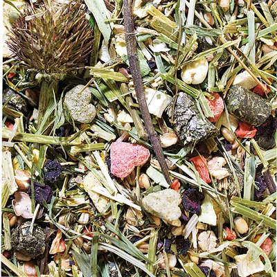 Close-up of mixed small animal food with dried grass, seeds, pellets, vegetable pieces and a thistle head. Various shapes and colours visible in the mix.