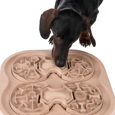 Hund nosar på beige aktivitetsbräda i plast med flera labyrintmönster för godis eller foder.