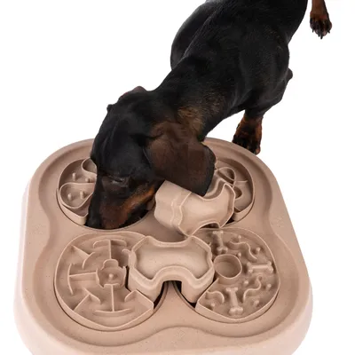 Hund nosar på beige aktivitetsbräda med flera snurrbara och flyttbara delar i olika former. Brädan har labyrint- och benmönster, tillverkad av plast.