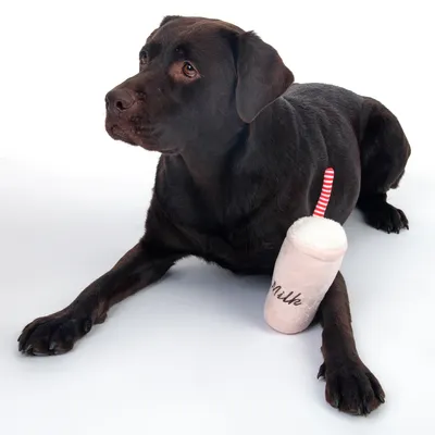 Rjav pes poleg plišaste igrače v obliki mlečnega napitka z rdečo slamico in napisom 'Milk'.