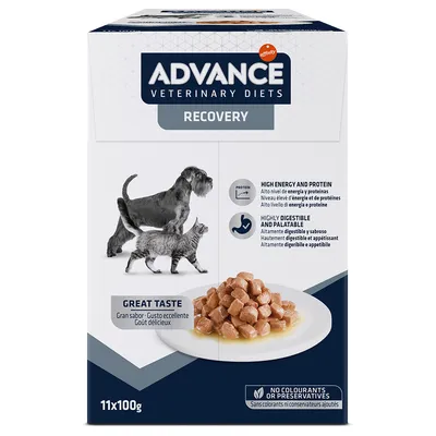 Advance Veterinary Diets Recovery, 11x100g. Hoog energie- en eiwitgehalte, licht verteerbaar en smakelijk, zonder kleurstoffen of conserveermiddelen.