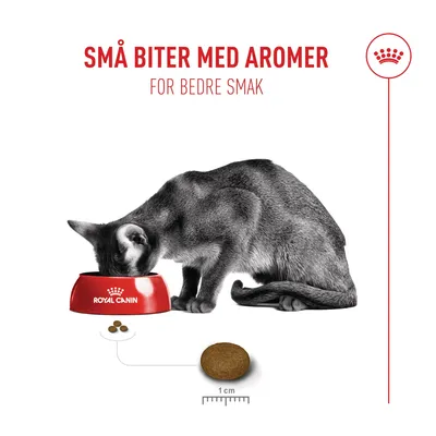 Royal Canin Fussy Exigent