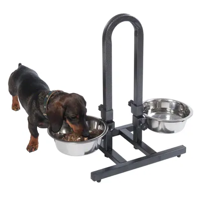 Höjdjusterbart matställ med två skålar i rostfritt stål, en hund äter ur en skål. Lämplig för ergonomisk utfodring.