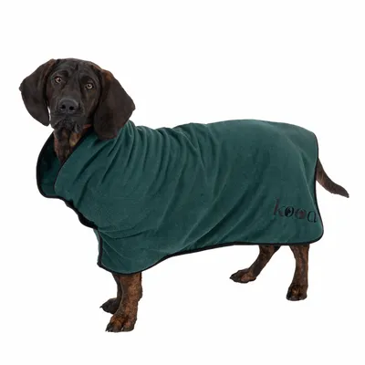 Dog wearing green coat with black trim and kooa logo. Product shows dog clothing.
