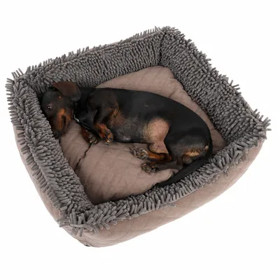 Hund liegt in einem quadratischen Hundebett mit grauem, weichem Rand und gepolsterter brauner Liegefläche.