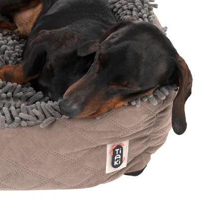 Schlafender Hund in einem braunen Tiaki-Haustierbett mit grauer Plüschpolsterung. Tiaki-Logo sichtbar auf der Seite des Bettes.