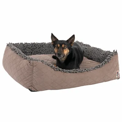 Braunes Hundebett mit gesteppter Oberfläche und weichem, grauem Rand aus Plüschmaterial. Ein kleiner Hund sitzt im Bett.