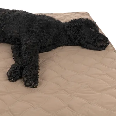 Black dog lying on a beige padded mat with quilted pattern.