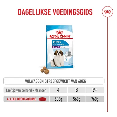 Royal Canin Giant Puppy Hondenvoer