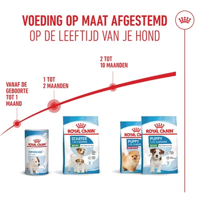 Royal Canin Mini Starter Mother & Babydog Hondenvoer