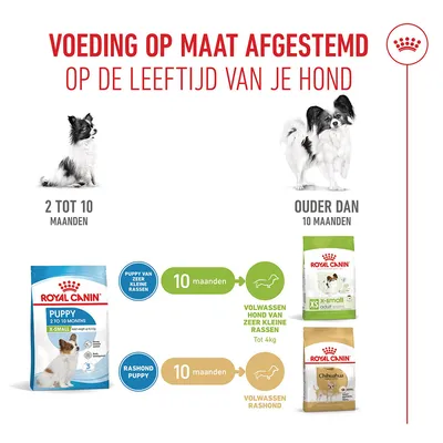 Royal Canin X-small Puppy