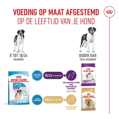 Royal Canin Giant Junior Hondenvoer