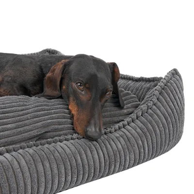 Hund liegt auf einem grauen, gerippten Hundebett mit weicher Polsterung.