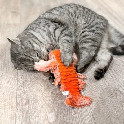 Grijze kat met oranje pluche kattenspeeltje op houten vloer, CE-label zichtbaar aan het speeltje.