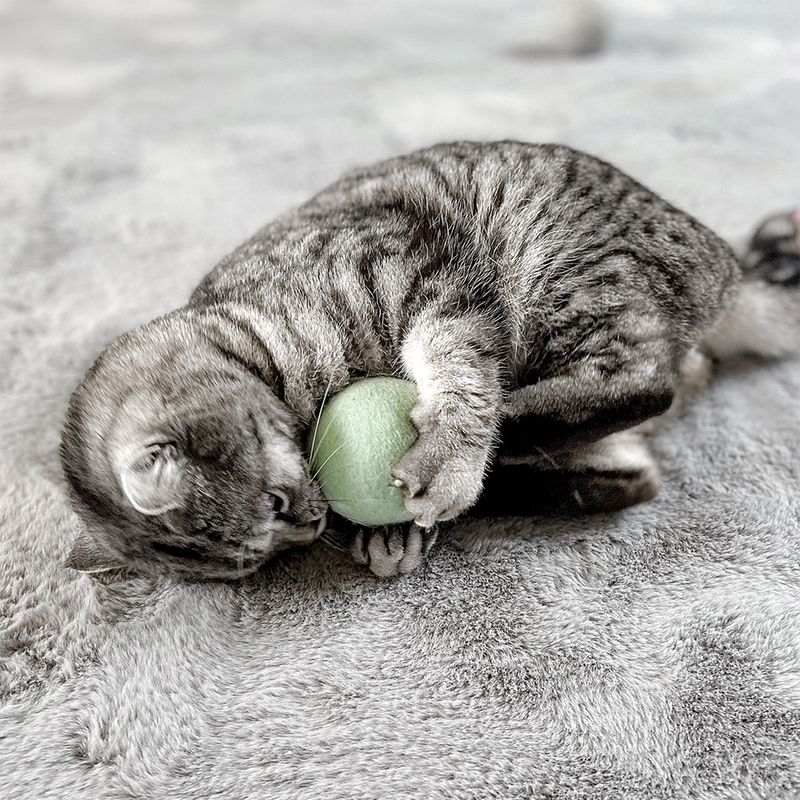 Lana Gatto LunarCharm 12 Palline Lana Per Gatti - Giocattoli Naturali In Feltro Per Gattini Giochi Gatto Sicuri