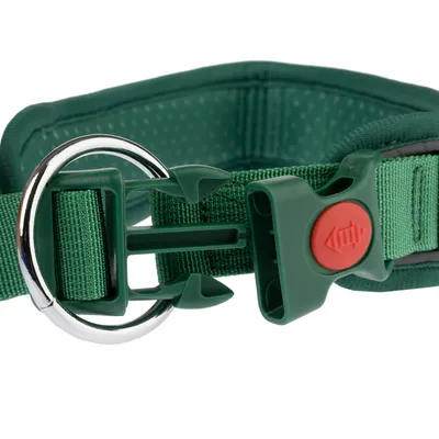 Grönt hundhalsband med röd säkerhetsstängning och metallring för koppel.