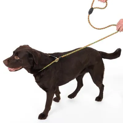 TIAKI Retrieverlijn Twist
