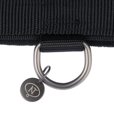 Close-up of a black nylon collar with metal D-ring and pendant with 'NT' logo.