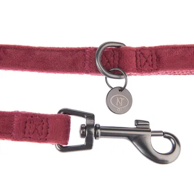 Rode hondenriem met metalen karabijnhaak en ronde hanger met NT-logo.