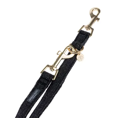 Black dog lead with gold-coloured metal fastenings and pendant, brand label 'Nomad Tales' visible.