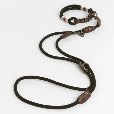 Black dog lead with brown leather details and metal fastenings, including collar with coloured accents.