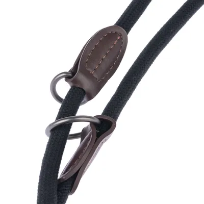 Detailaufnahme einer schwarzen Hundeleine mit braunen Lederapplikationen und Metallringen.