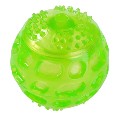 Balle pour animal en plastique vert translucide, surface avec picots et reliefs visibles sur toute la balle.