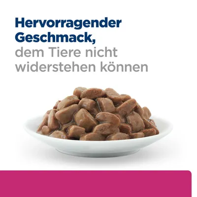 Hervorragender Geschmack, dem Tiere nicht widerstehen können. Schale mit braunen Futterstücken in Sauce. Hervorragender Geschmack, dem Tiere nicht widerstehen können. Schale mit braunen Futterstücken in Sauce.