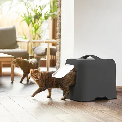 Cat litter box with side entrance, dark grey, cat leaving the litter box in a modern living space.