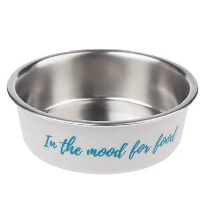 Stainless steel food bowl with 'In the mood for food' lettering in blue.