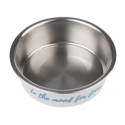 Stainless steel bowl with 'In the mood for food' lettering in blue on the outside.