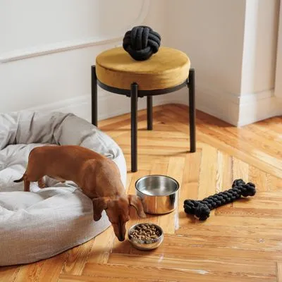 Modern Living Bayi Bol premium cu pereți dubli