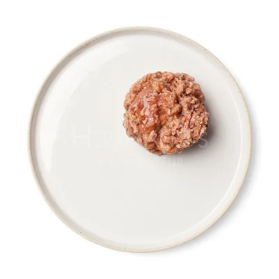 Porzione di alimento umido per animali su piatto bianco, consistenza a pezzetti compatti, colore marrone chiaro con parti più scure e lucide.