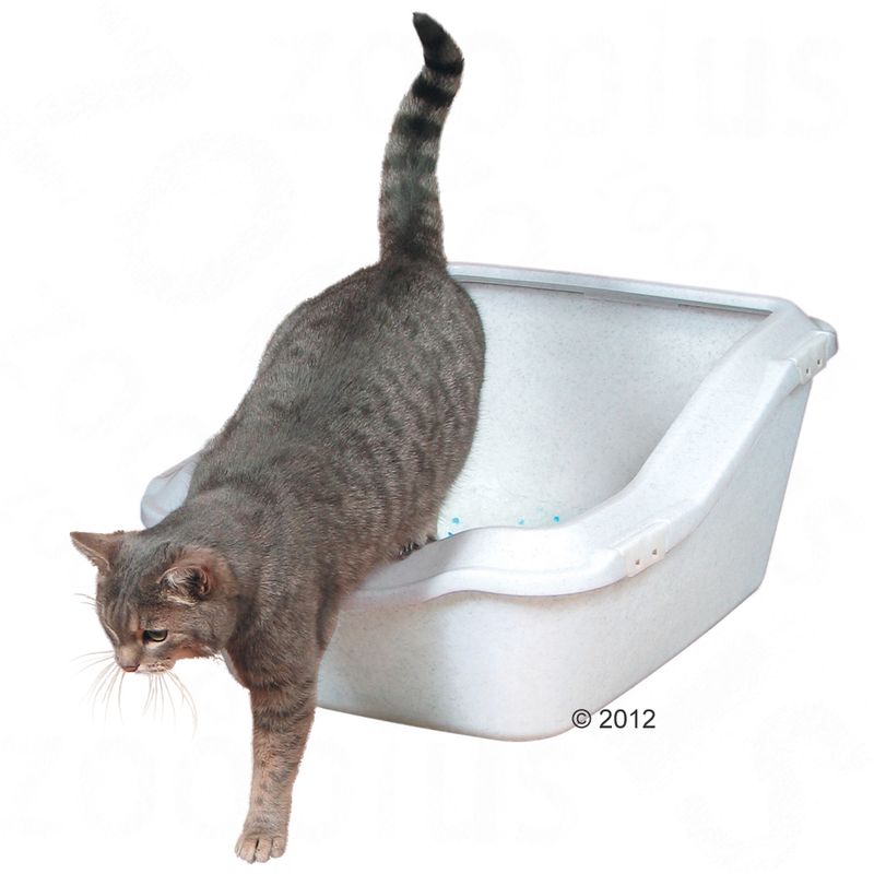 Cleany Cat -kissanhiekka-astia suojareunuksella, valkoinen