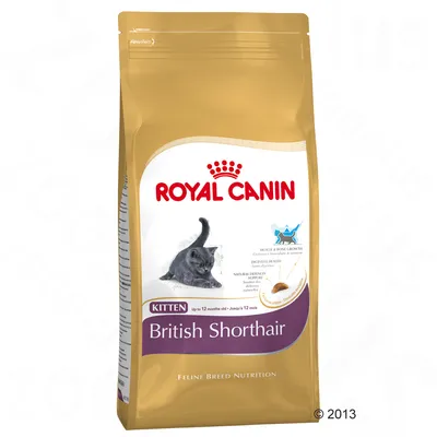Saco de pienso Royal Canin Kitten British Shorthair para gatos, texto visible: 'Up to 12 months old', ilustración de un gato gris y croqueta. Feline Breed Nutrition.